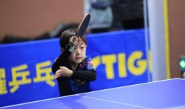 体育最新爆料2023,年度焦点事件大盘点