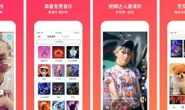 今日农村爆料视频直播间,今日热点事件深度剖析